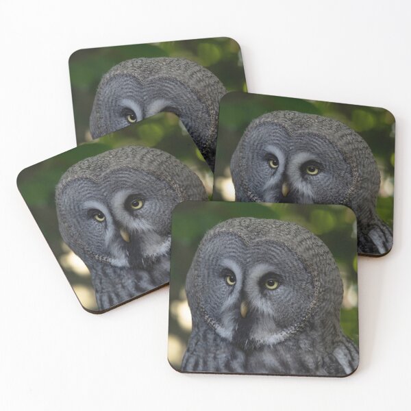 Item preview, The Great Grey Owl (Strix nebulosa). designed and sold by Vine Photographic.