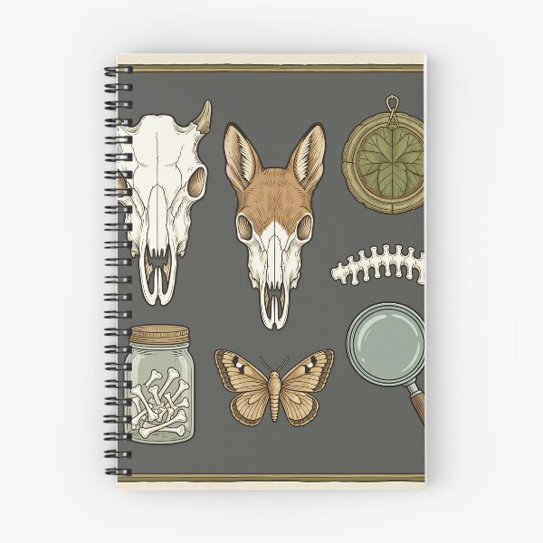 Item preview, Vulture Culture Cabinet Skull Art Print designed and sold by DIUMERI.