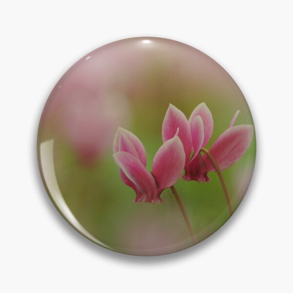 Item preview, Cyclamen in flower designed and sold by miradorpictures.