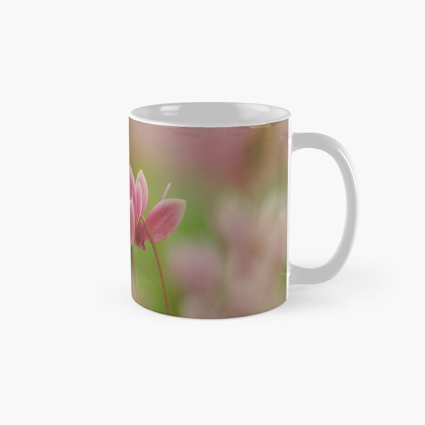Item preview, Cyclamen in flower designed and sold by miradorpictures.