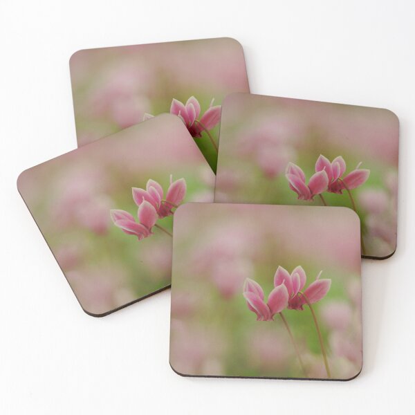 Item preview, Cyclamen in flower designed and sold by miradorpictures.