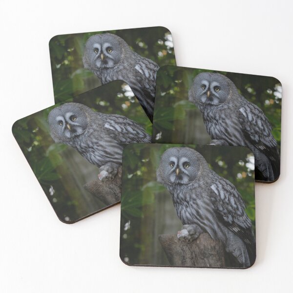 Item preview, The Great Grey Owl (Strix nebulosa). designed and sold by Vine Photographic.