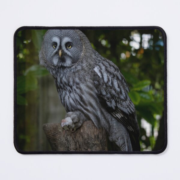 Item preview, The Great Grey Owl (Strix nebulosa). designed and sold by Vine Photographic.