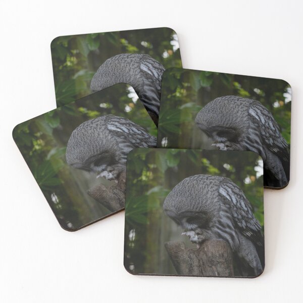 Item preview, The Great Grey Owl (Strix nebulosa). designed and sold by Vine Photographic.