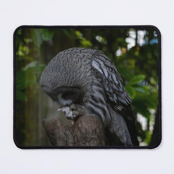 Item preview, The Great Grey Owl (Strix nebulosa). designed and sold by Vine Photographic.