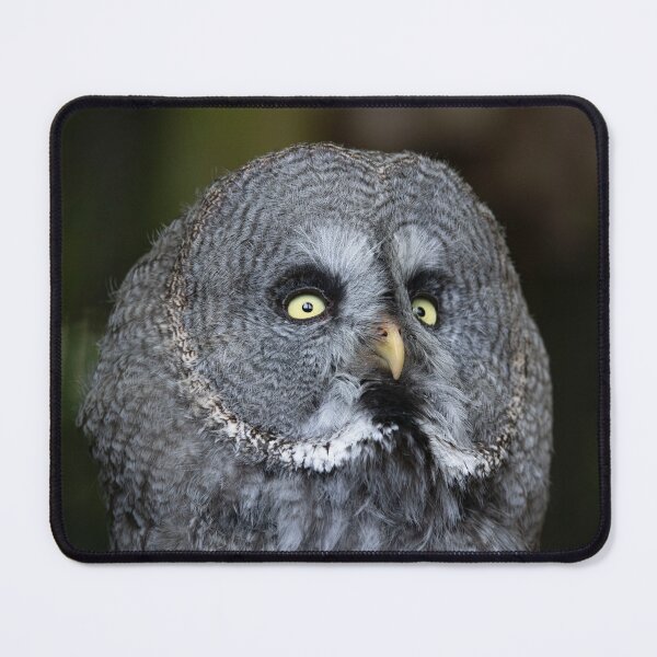 Item preview, The Great Grey Owl (Strix nebulosa). designed and sold by Vine Photographic.