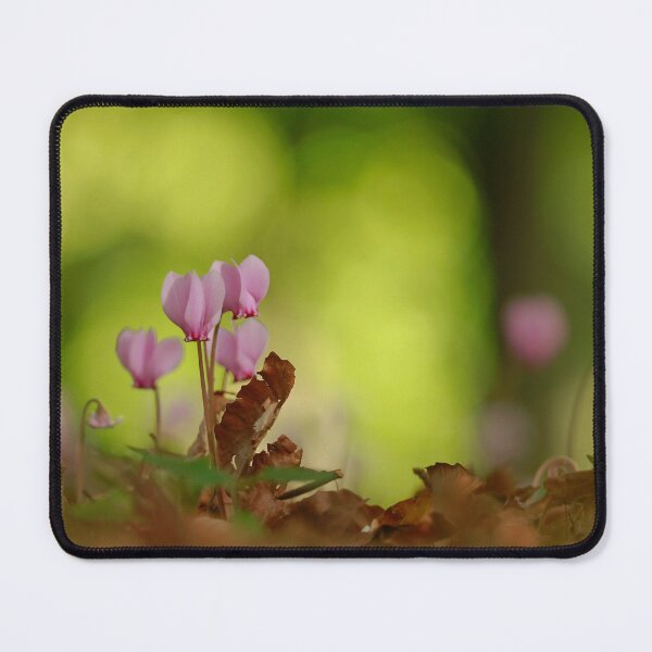 Item preview, A woodland scene designed and sold by miradorpictures.