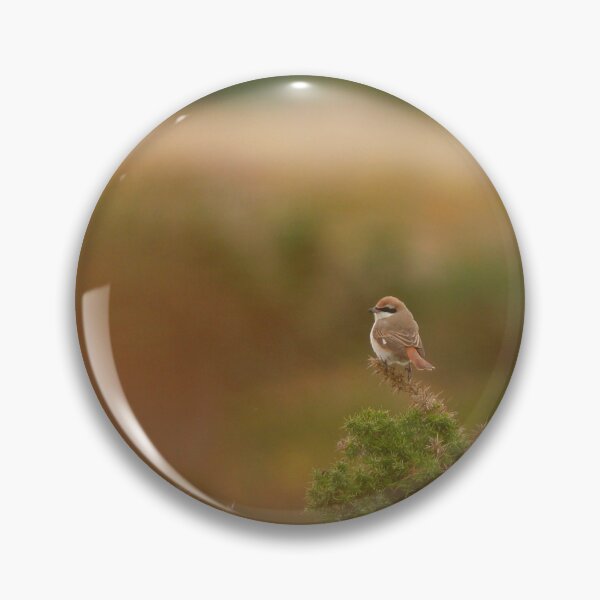 Item preview, Shrike shrub designed and sold by miradorpictures.