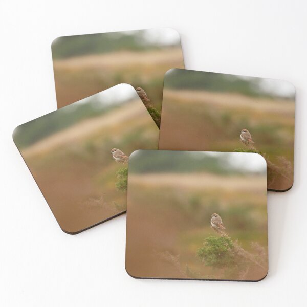 Item preview, Shrike shrub designed and sold by miradorpictures.