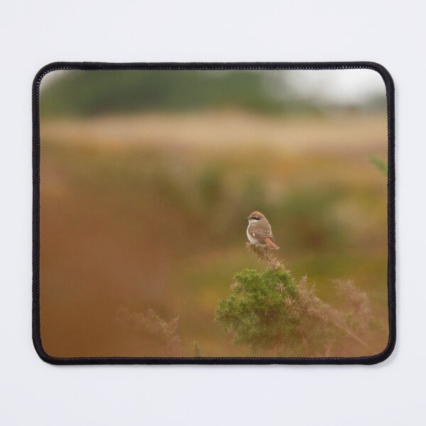 Item preview, Shrike shrub designed and sold by miradorpictures.