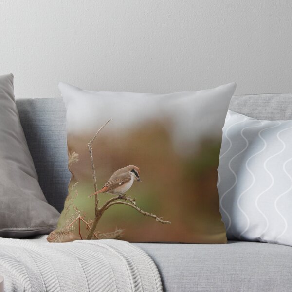 Item preview, Shrike supper designed and sold by miradorpictures.