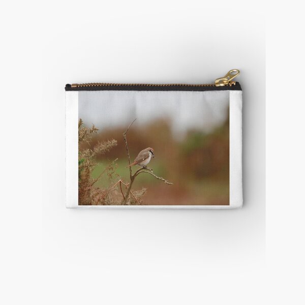 Item preview, Shrike supper designed and sold by miradorpictures.