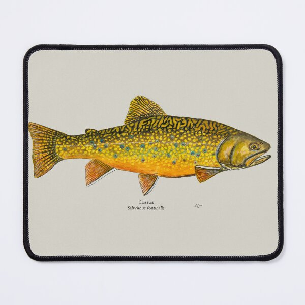 Item preview, Little Trout Bay Coaster Painting designed and sold by Stephen Emms.