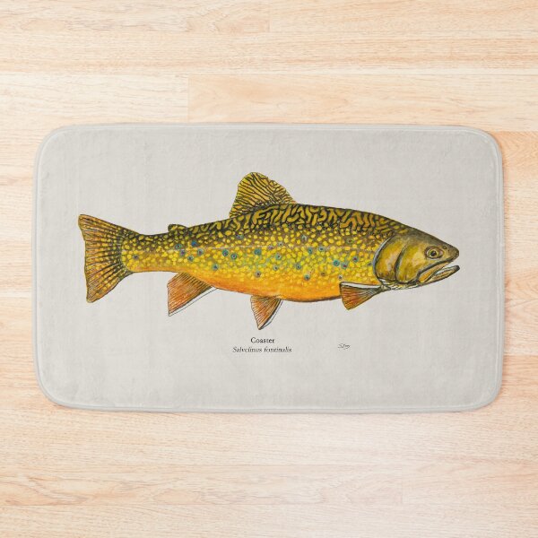 Item preview, Little Trout Bay Coaster Painting designed and sold by Stephen Emms.