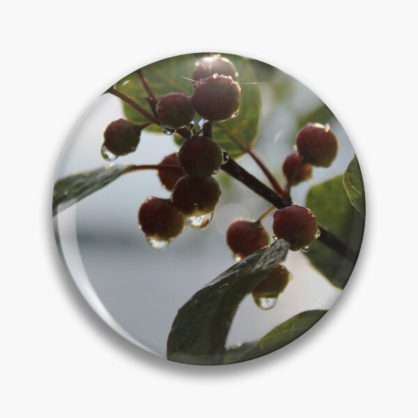 Item preview, Autumn Berries with Dew Drops Photography designed and sold by OlesiaCraft.