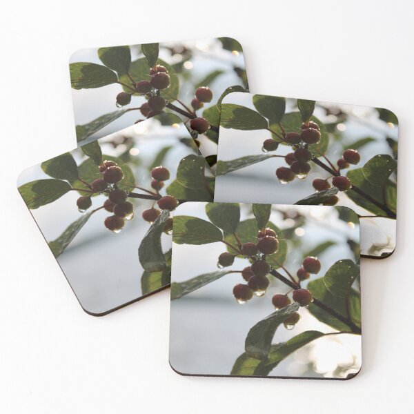 Item preview, Autumn Berries with Dew Drops Photography designed and sold by OlesiaCraft.