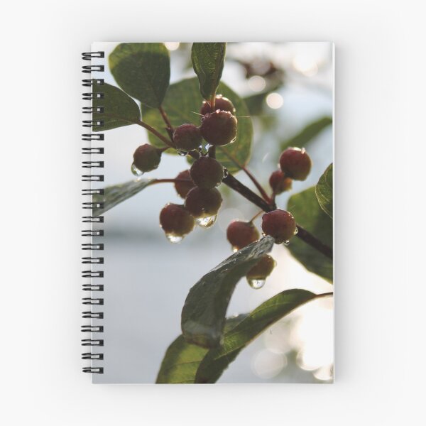 Artikelvorschau, Herbstbeeren mit Tautropfen (Fotografie) entworfen und verkauft von OlesiaCraft.