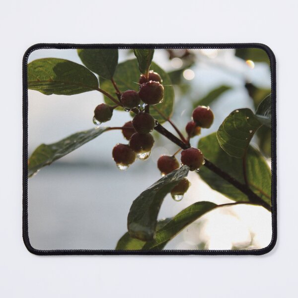 Item preview, Autumn Berries with Dew Drops Photography designed and sold by OlesiaCraft.