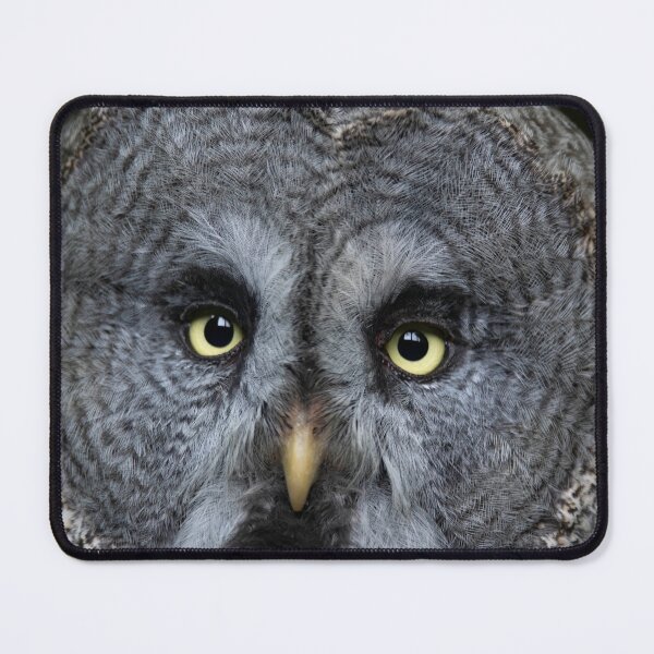 Item preview, The Great Grey Owl (Strix nebulosa). designed and sold by Vine Photographic.