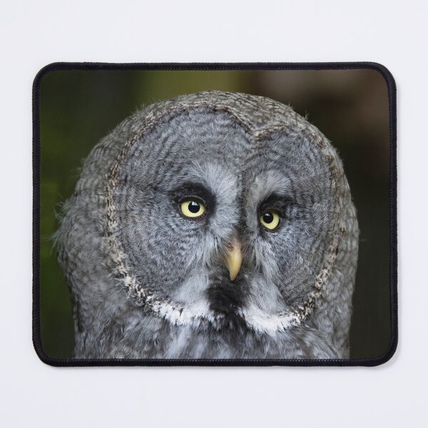 Item preview, The Great Grey Owl (Strix nebulosa). designed and sold by Vine Photographic.
