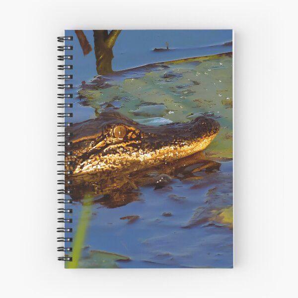 Item preview, Young Louisiana Alligator designed and sold by Wait, Watch and Wander Shop.