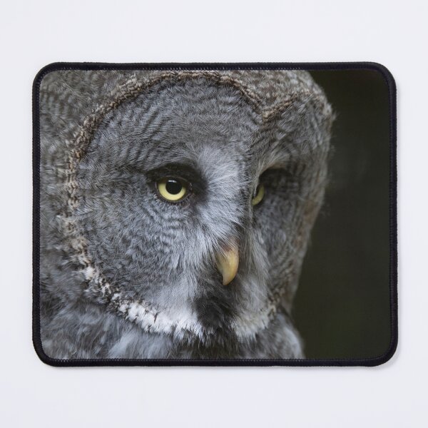 Item preview, The Great Grey Owl (Strix nebulosa). designed and sold by Vine Photographic.