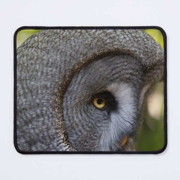 Item preview, The Great Grey Owl (Strix nebulosa). designed and sold by Vine Photographic.