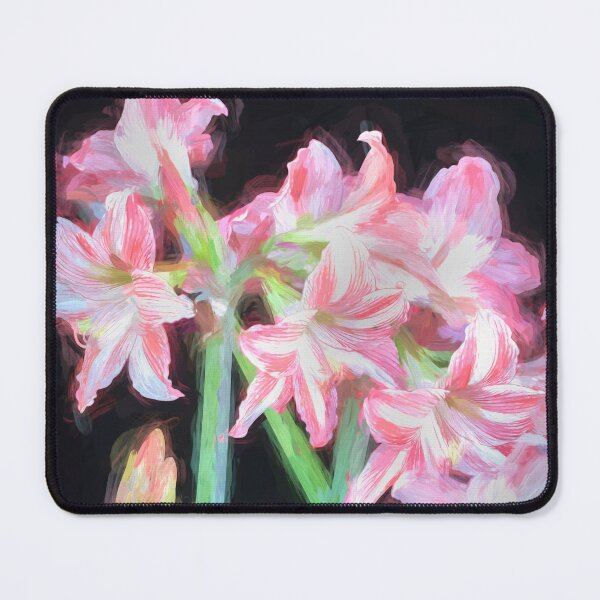 Item preview, Sweet Lillian Amaryllis designed and sold by RichFrancoCars.