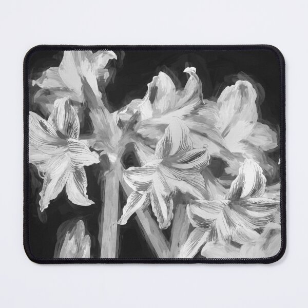 Item preview, Sweet Lillian Amaryllis B&W designed and sold by RichFrancoCars.
