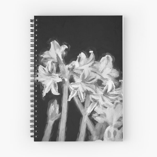 Item preview, Sweet Lillian Amaryllis B&W designed and sold by RichFrancoCars.