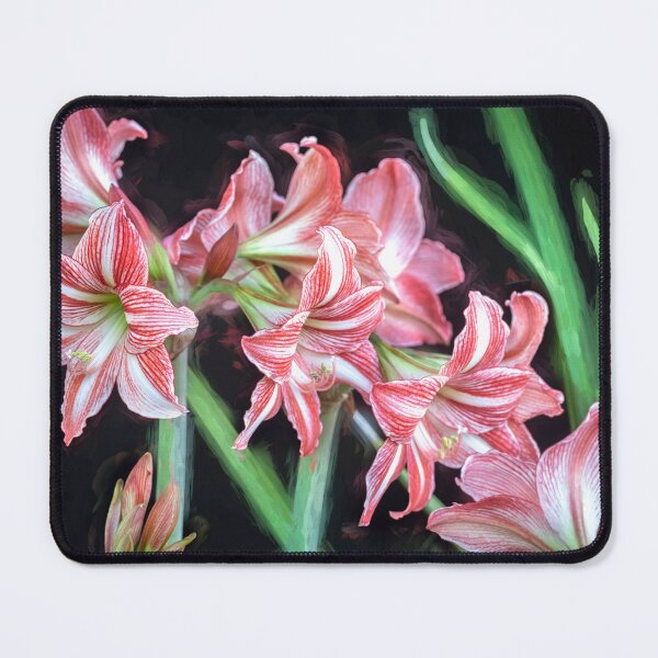Item preview, Sweet Lillian Amaryllis B&W designed and sold by RichFrancoCars.