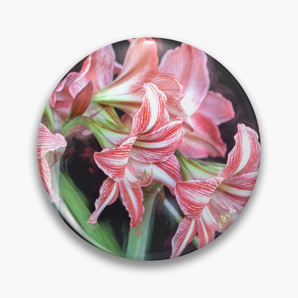 Item preview,  Sweet Lillian Amaryllis B&W designed and sold by RichFrancoCars.