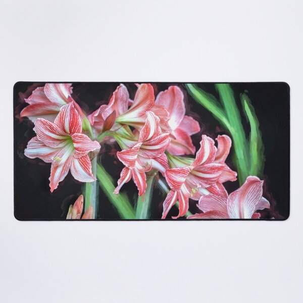Item preview, Sweet Lillian Amaryllis B&W designed and sold by RichFrancoCars.