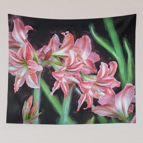 Item preview,  Sweet Lillian Amaryllis B&W designed and sold by RichFrancoCars.