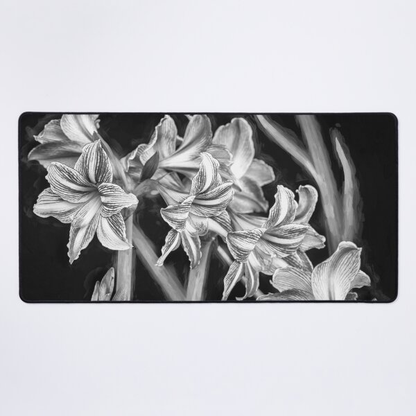 Item preview, Sweet Lillian Amaryllis B&W designed and sold by RichFrancoCars.