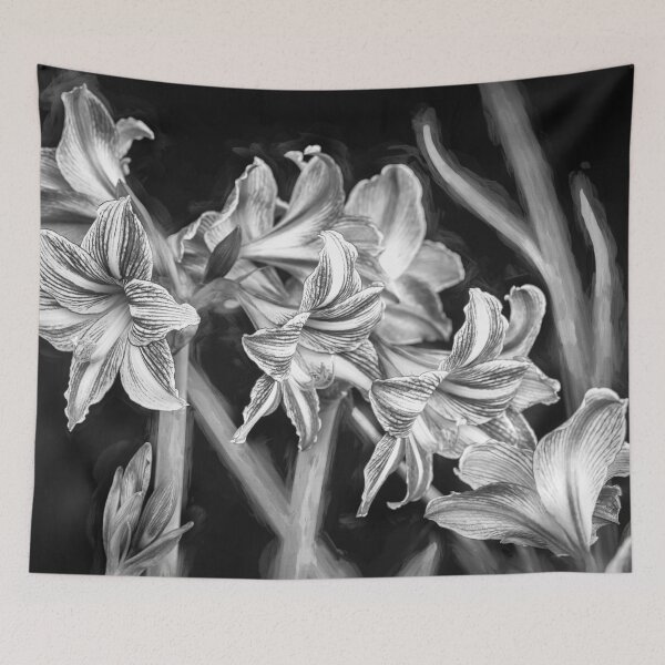 Item preview,  Sweet Lillian Amaryllis B&W designed and sold by RichFrancoCars.