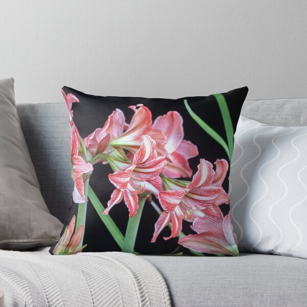 Item preview, Sweet Lillian Amaryllis B&W designed and sold by RichFrancoCars.