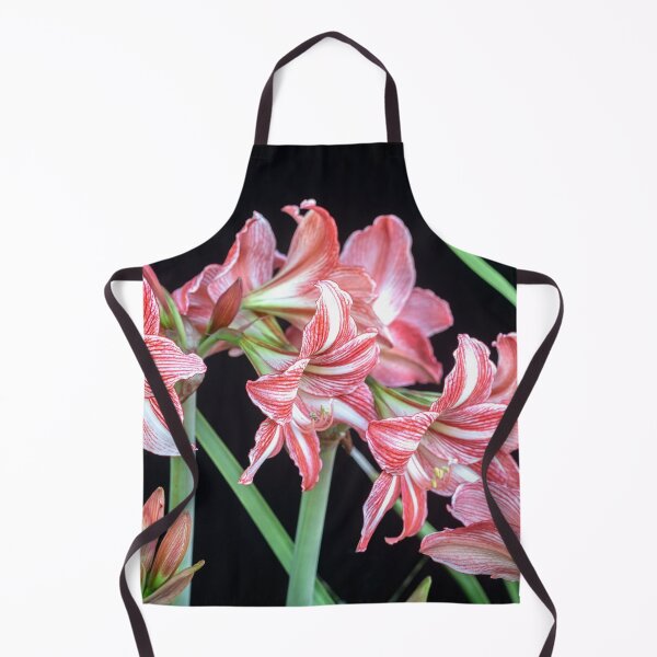Item preview, Sweet Lillian Amaryllis B&W designed and sold by RichFrancoCars.