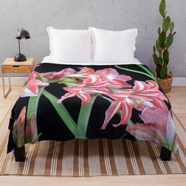 Item preview, Sweet Lillian Amaryllis B&W designed and sold by RichFrancoCars.