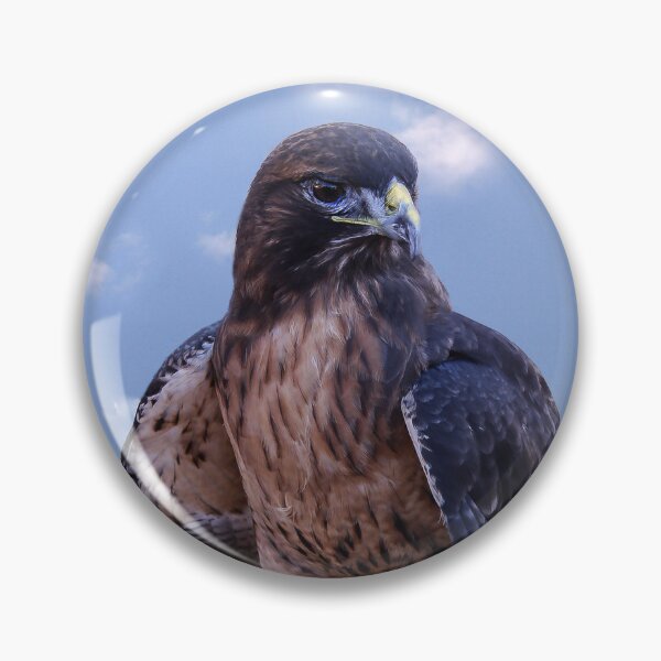 Item preview, Hawk in Training  designed and sold by heatherfriedman.