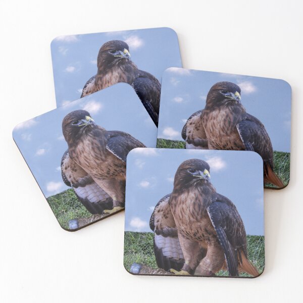 Item preview, Hawk in Training  designed and sold by heatherfriedman.
