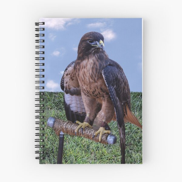 Item preview, Hawk in Training  designed and sold by heatherfriedman.