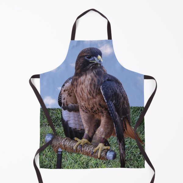 Item preview, Hawk in Training designed and sold by heatherfriedman.
