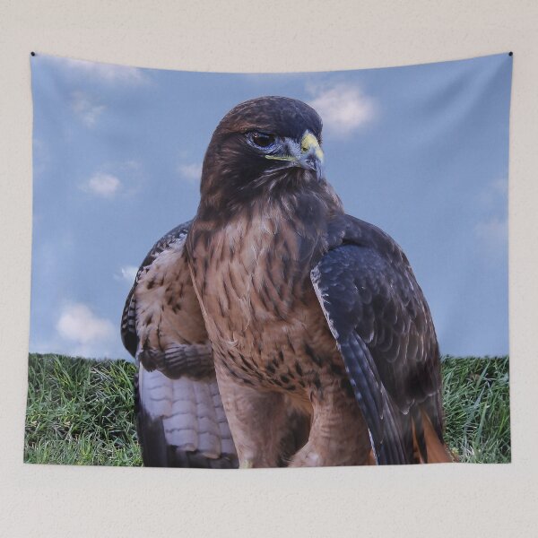 Item preview, Hawk in Training  designed and sold by heatherfriedman.