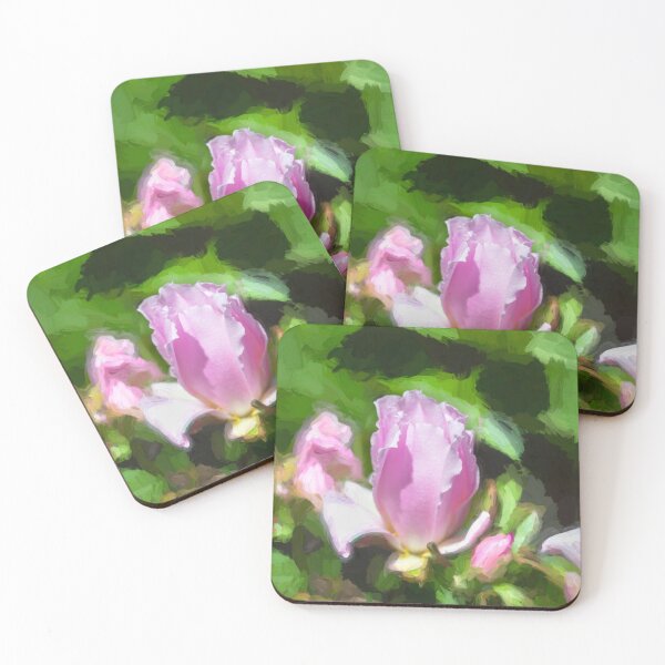Item preview, Pink Rose Cactus Pereskia  designed and sold by RichFrancoCars.