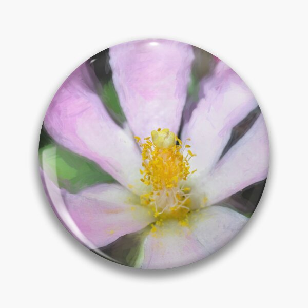 Item preview, Pink Rose Cactus Pereskia designed and sold by RichFrancoCars.