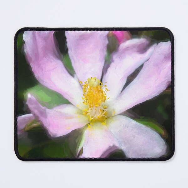 Item preview,  Pink Rose Cactus Pereskia  designed and sold by RichFrancoCars.