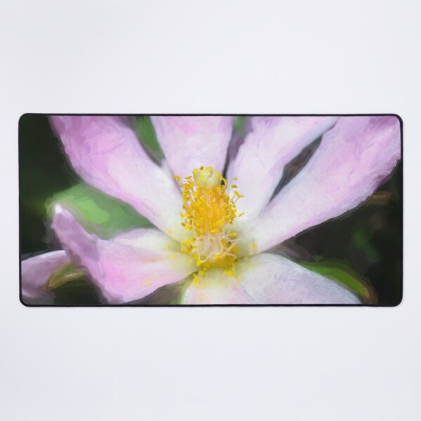 Item preview,  Pink Rose Cactus Pereskia  designed and sold by RichFrancoCars.