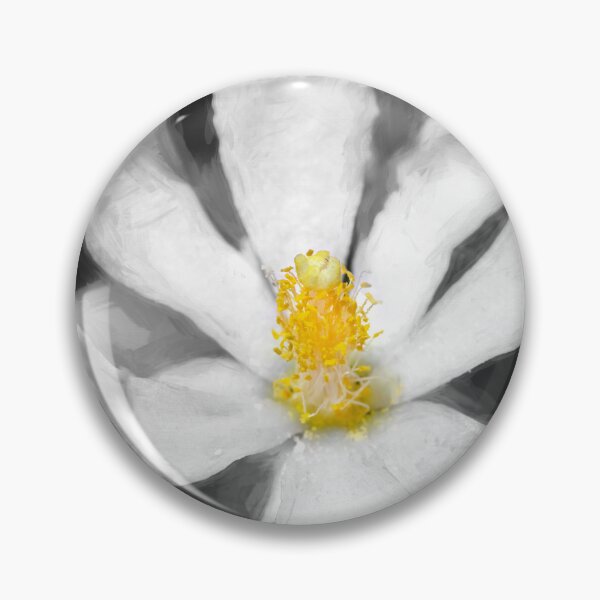 Item preview, Pink Rose Cactus Pereskia designed and sold by RichFrancoCars.