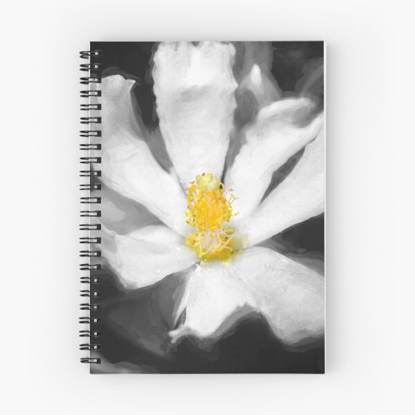 Item preview,  Pink Rose Cactus Pereskia  designed and sold by RichFrancoCars.